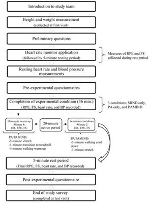 Effects of mindful physical activity on perceived exercise exertion and other physiological and psychological responses: results from a within-subjects, counter-balanced study